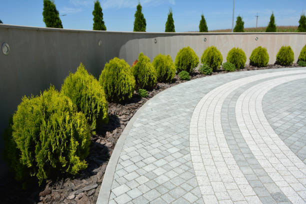 Best Permeable Paver Driveway  in Cadott, WI