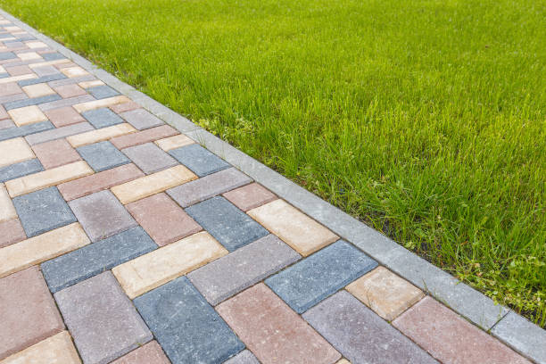 Best Driveway Repair Near Me  in Cadott, WI